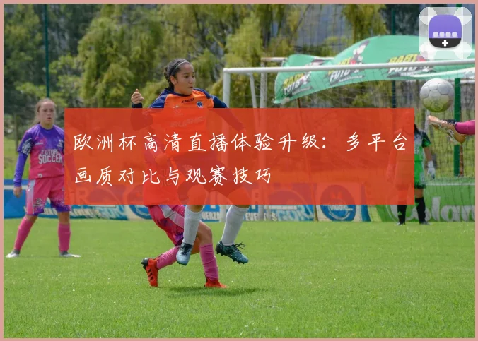 欧洲杯高清直播体验升级：多平台画质对比与观赛技巧